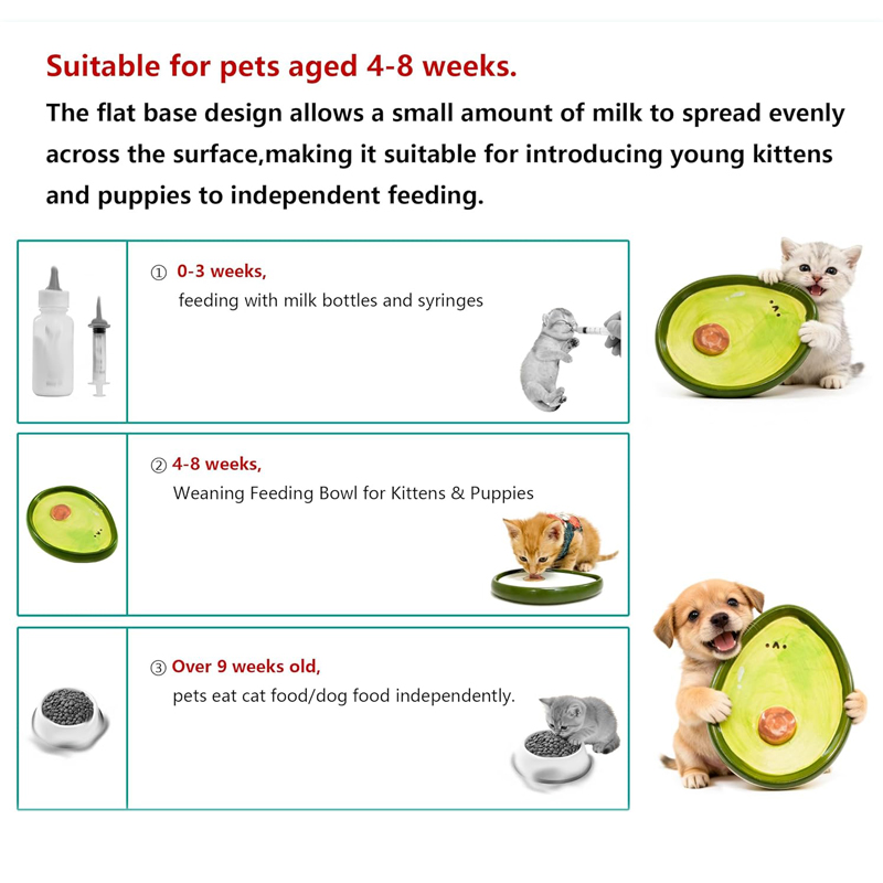 Tazones para Gatos, Platos par - Baby Food Kitten reseña y precio