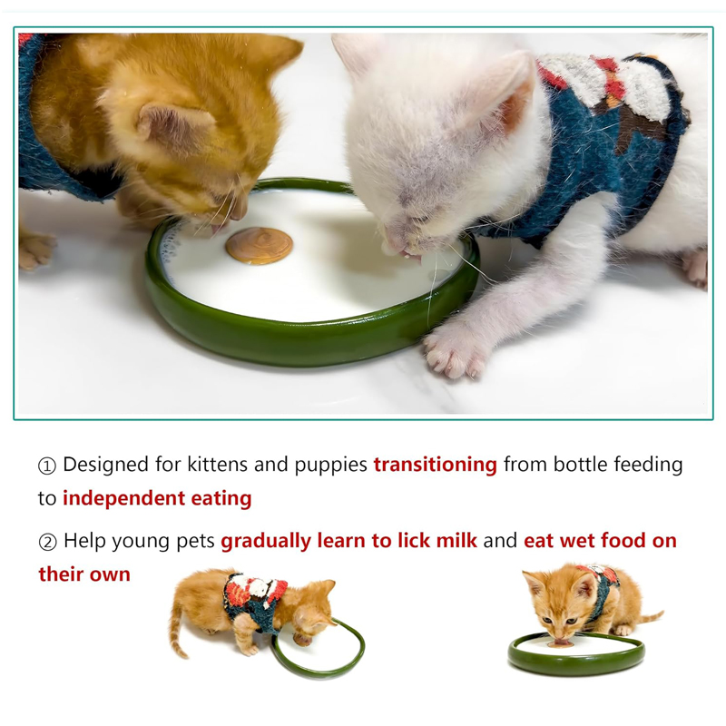 Tazones para Gatos, Platos par - Baby Food Kitten reseña y precio
